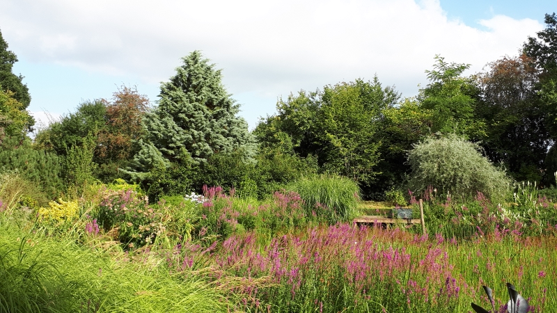 Moors Meadow Gardens